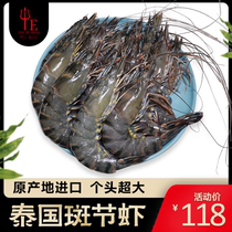 【叶记】泰国进口特大超大斑节虾竹节虾新鲜捕捞鲜活速冻800g包邮