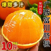 广西富川脐橙10斤新鲜橙子整箱现摘果冻橙应当季水果手剥冰糖甜橙