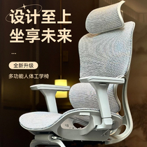 捷奥A2人体工学椅电竞椅子电脑椅家用靠背舒适护腰老板办公转椅