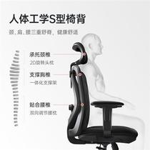 贝意品M18人体工学椅电脑椅电竞椅书房家用椅子靠背舒适座椅办公