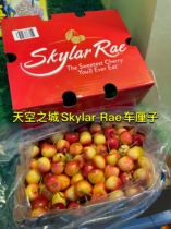 Skylar Rae天空之城黄金车厘子斯科拉斯卡拉雷斯凯拉雷车厘子樱桃