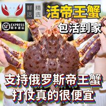 帝王蟹鲜活海鲜10斤帝皇蟹特大螃蟹龙虾巨型长脚蟹水产包活到家