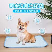 宠物尿垫可水洗重复使用狗狗尿片吸水防滑易干透气猫咪训练隔尿垫