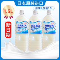 日本进口Calpis可尔必思乳酸菌碳酸饮料饮品大瓶装1.5L可儿必思