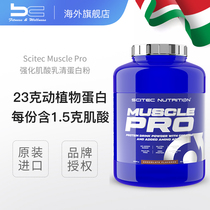 匈牙利赛特Scitec Muscle Pro 强化肌酸乳清蛋白粉 增强肌肉力量