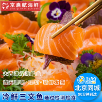含皮500g 北京闪送 智利进口冷冻冰鲜三文鱼刺身中段新鲜生鱼片