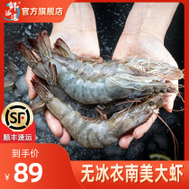 盐冻大虾厄瓜多尔南美白虾活冻速冻冷冻1.5kg海鲜水产虾类