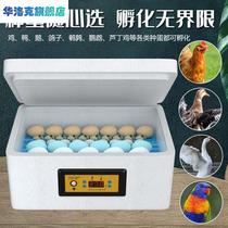 鸡蛋浮鸡箱家用小型孵化机全自动小鸡孵化设备卵化机器电热工具
