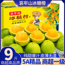 云南玉溪冰糖橙9斤新鲜橙子果冻橙应当季水果手剥柑橘蜜桔子包邮5