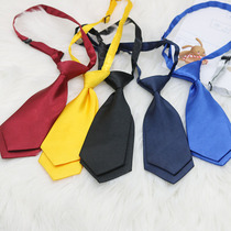 韩版纯色双片小领带女 黑色酒红色短款职业衬衫儿童学生校服领带