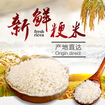 当季江苏泰州南粳9108新大米软香糯晚稻米10斤粘米粳米梗米20斤