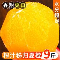 秭归夏橙9斤装新鲜水果大果橙子当季水果手剥冰糖甜橙整箱包邮甜5