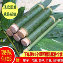 蒸米饭的竹筒包粽子神器模具全竹天然做粽子用的劈开糯米饭商用