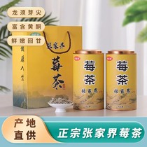 莓茶正品一级张家界龙须芽尖长寿村土家藤茶100g/罐