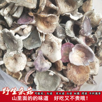 野生菌干货蘑菇干杂菌菇野山菌菌类特产红菇青头菇干菌菇菌子食材