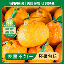 【恰好庄园】 四川不知火丑橘4.5斤新鲜水果时令当季整箱批发包邮