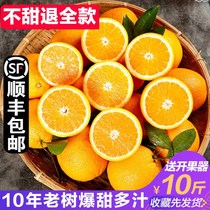 湖南麻阳冰糖橙10甜橙时令水果新鲜整箱当季永兴橙子产地直发5