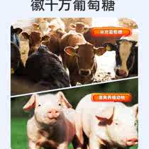 千方动保兽用葡萄糖粉鸡鸭猪牛羊水产养殖畜禽补充能量饲料添加剂