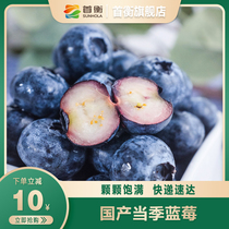 首衡国产蓝莓中果新鲜当季现摘 国产蓝莓孕妇浆果生鲜水果125g/盒