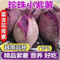 正宗越南珍珠小紫薯沙地红薯10斤紫罗兰蜜薯糖心山芋番薯蔬菜地瓜