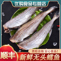 【顺丰】10斤无头鳕鱼新鲜深海明太鱼去内脏免处理宝宝辅食1斤