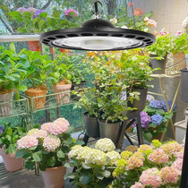 大棚植物补光灯室内月季绣球绿植盆栽全光谱多肉花卉仿太阳生长灯