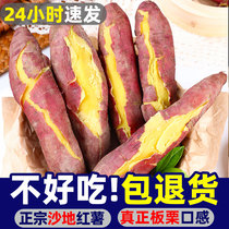 陕西农家自种板栗薯红薯番薯新鲜蔬菜非桥头地瓜山芋老式白薯10斤