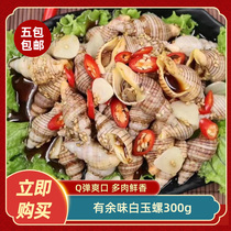 有余味白玉螺300g即食熟食罐装麻辣小海鲜罐头小海螺丝餐饮商用