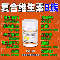 复合维生素B片100片B族维生素营养不良维生素b1b2b12b6B5VB维b