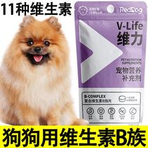 复合维生素b族狗用狗狗专用多种吃的犬用维生素b1微量元素复合片