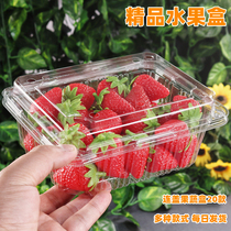 水果包装盒一次性果蔬盒方形塑料草莓盒透明葡萄打包盒有盖果切盒