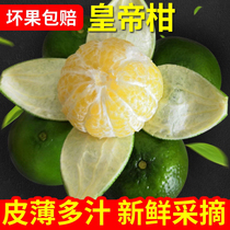 广西皇帝柑大果橘子新鲜水果包邮3斤5斤10斤