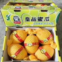 2024海南皇品蜜瓜5只礼盒装纯甜多汁新鲜水果农产品特产大果包邮