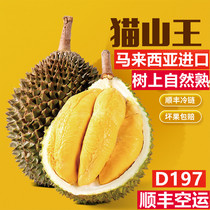 正宗马来西亚猫山王榴莲D197新鲜液氮冷冻整个带壳水果顺丰包邮