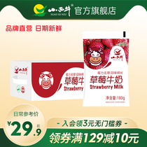 小西牛草莓牛奶袋装添加新鲜生牛乳草莓风味牛奶整箱 180g*12袋