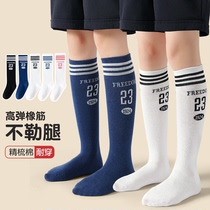 儿童长筒袜纯棉夏季薄款学生篮球袜女童小腿袜男童运动足球中筒袜