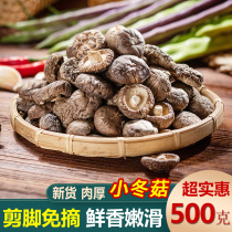 新鲜庆元农家香菇干货500g金钱菇非特级小香菇椴木冬菇蘑菇花菇