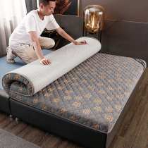床垫椰棕垫天然榈偏硬出租房用环保1.5m1.8米1.2定制折叠家用垫子