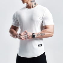 GYMDOG美式条纹纯色健身短袖男篮球跑步速干弹力运动T恤训练衣服