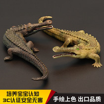 儿童仿真实心恐龙动物玩具模型 帝王鳄 远古生物帝鳄 史前大鳄鱼