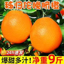 秭归伦晚脐橙10斤大果新鲜橙子当季水果手剥冰糖甜橙果冻橙春橙5