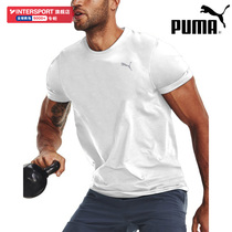 Puma彪马快干衣男T恤夏季运动上衣篮球训练跑步健身透气半袖短袖
