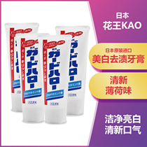 日本原装KAO花王大白牙膏正品保障清新薄荷味牙强健口腔165g