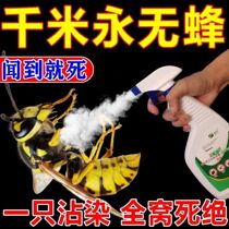 热销灭马蜂杀虫剂端防蜜蜂一窝灭蜂神器除蚂蜂克星喷雾蜂窝杀蜂药