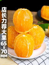 湖南麻阳冰糖橙新鲜橙子9斤礼盒当季水果夏甜橙手剥橙整箱10