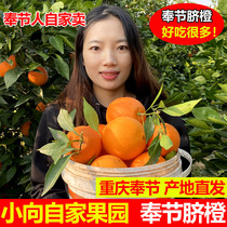 重庆奉节脐橙橙子新鲜10斤大果包邮当季20斤水果整箱手剥甜橙
