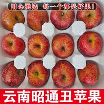 现摘丑苹果云南昭通冰糖心新鲜水果脆甜红富士10斤5斤装整箱批发