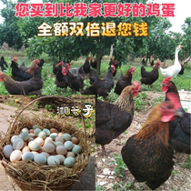 《湘谷子》柚子园正宗散养土鸡蛋新鲜农村野外孕妇有机虫草笨鸡蛋