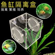 隔离盒孵化盒亚克力鱼缸水族箱鱼苗孵化繁殖箱孔雀鱼小鱼缸隔离盒