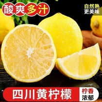 四川安岳黄柠檬新鲜水果奶茶店专用无籽一级香水甜柠檬黄皮薄多汁